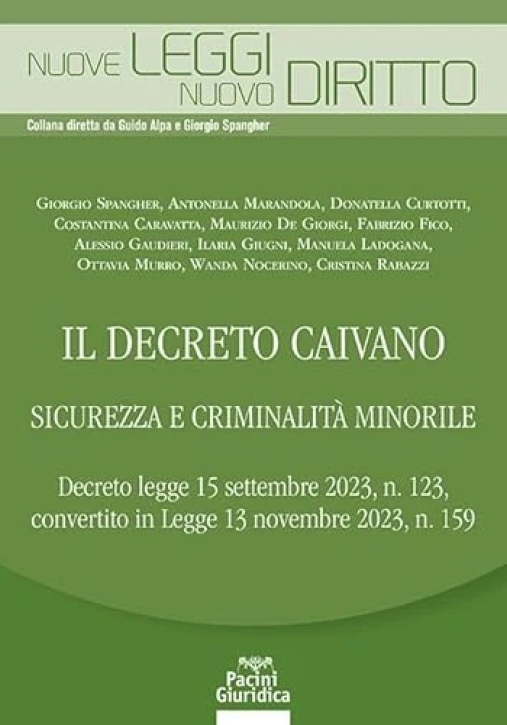 Immagine 0 di Decreto Caivano Sicur. Criminalita' Mino