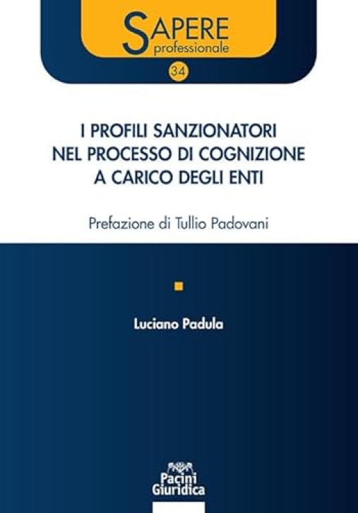 Immagine 0 di Profili Sanzionatori Processo Cognizione