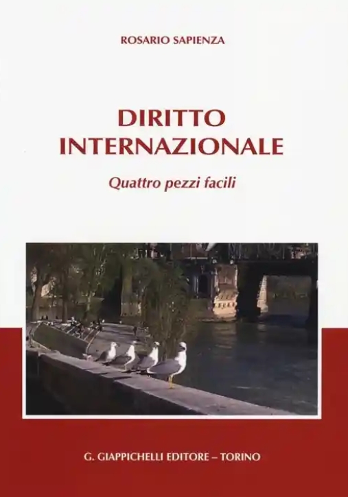 Immagine 0 di Diritto Internazionale 4 Pezzi Facili