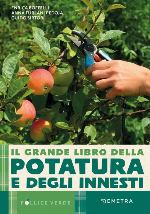 Immagine 0 di Grande Libro Della Potatura E Degli Innesti (il)