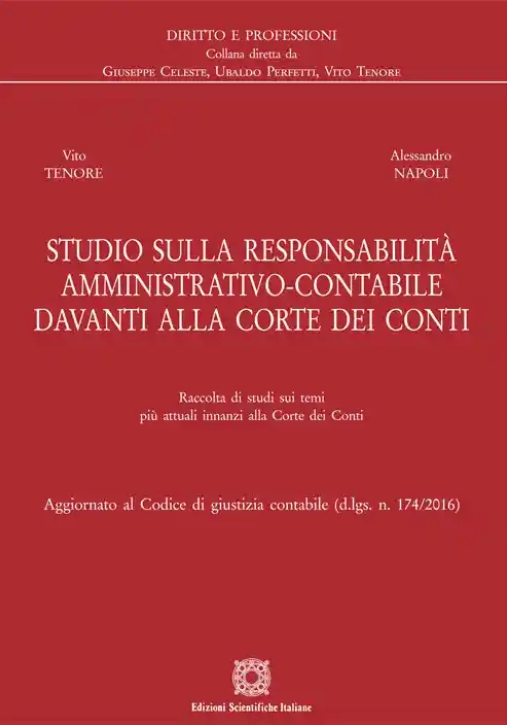 Immagine 0 di Studio Sulle Responsabilita'