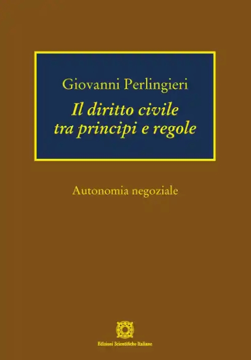 Immagine 0 di Diritto Civile Tra Principi E