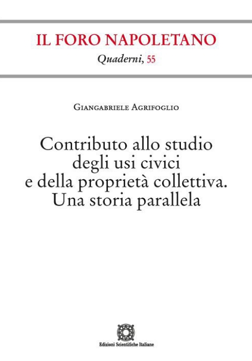 Immagine 0 di Contributo Studio Usi Civici