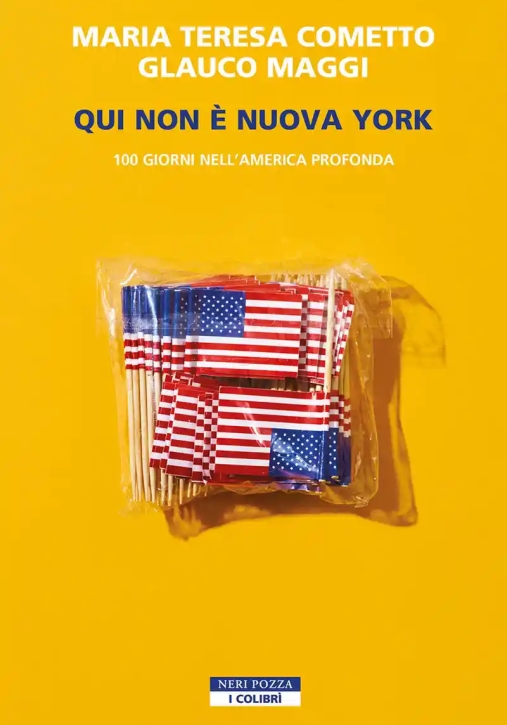 Immagine 0 di Qui Non Nuova York