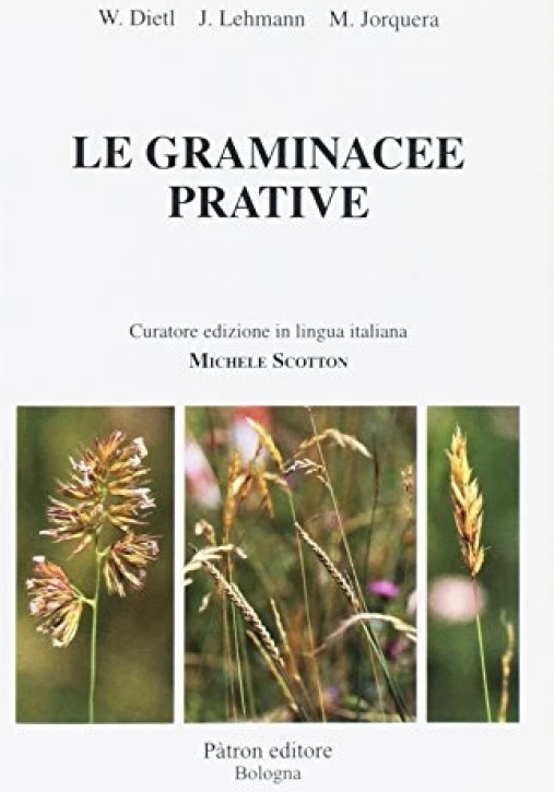 Immagine 0 di Graminacee Prative