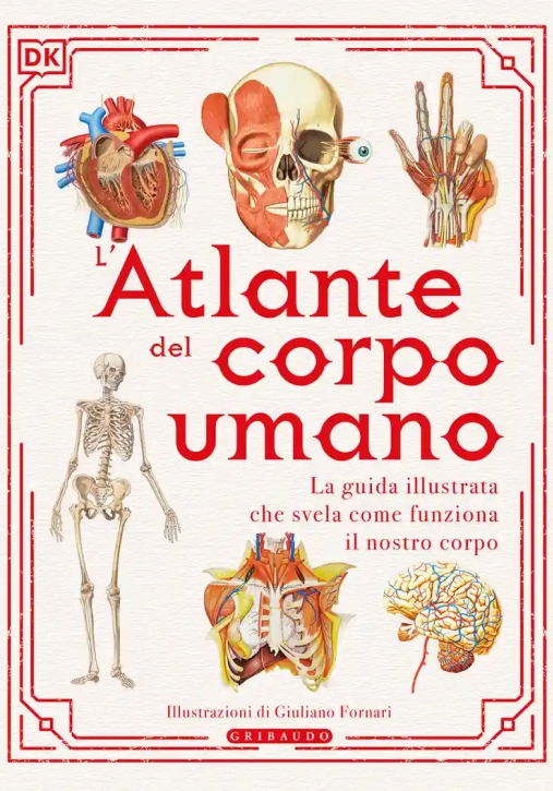 Immagine 0 di L'atlante Del Corpo Umano