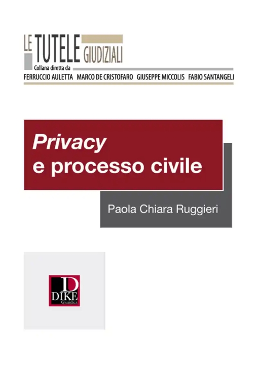 Immagine 0 di Privacy E Processo Civile