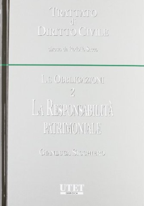 Immagine 0 di Responsabilita' Patrimoniale