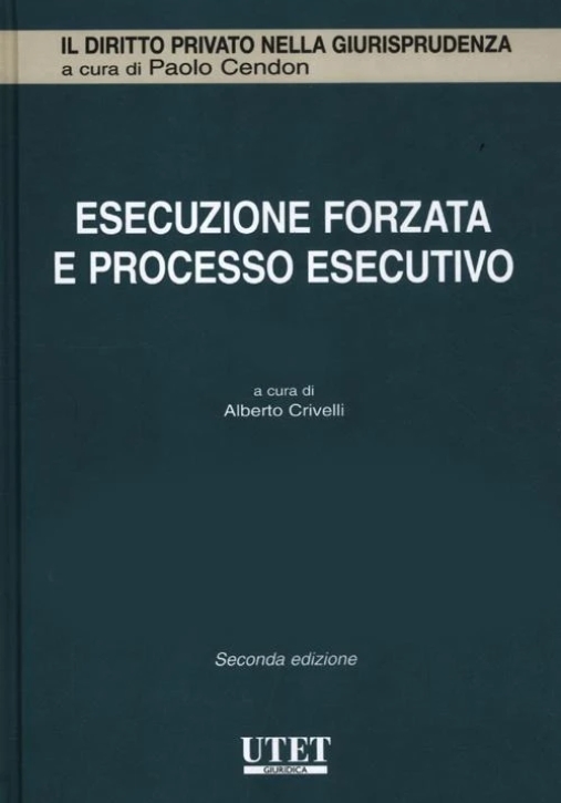 Immagine 0 di Esecuzione Forzata E Processo