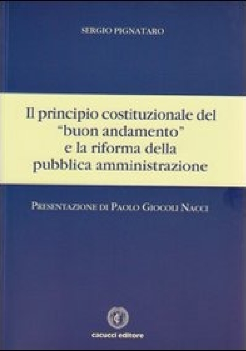 Immagine 0 di Il Principio Costituzionale Del Buon Andamento E La Riforma Della Pubbli