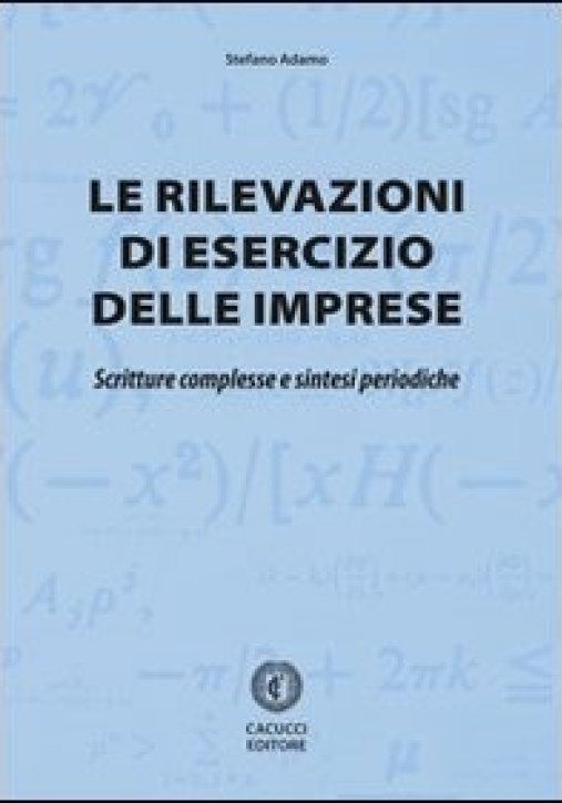 Immagine 0 di Le Rilevazioni Di Esercizio Delle Imprese