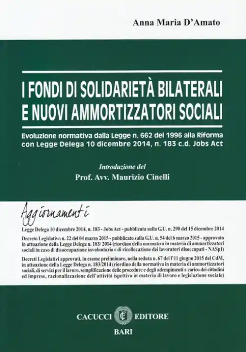 Immagine 0 di I Fondi Di Solidarieta' Bilaterali E Nuovi Ammortizzatori Sociali.