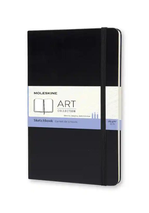 Immagine 0 di Moleskine Sketchbook Lg