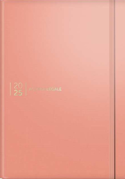 Immagine 0 di Agenda Legale 2025 Silk Pink