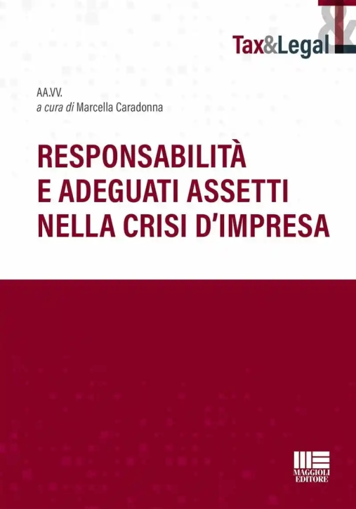 Immagine 0 di Responsabilita' Adeguati Assetti Crisi