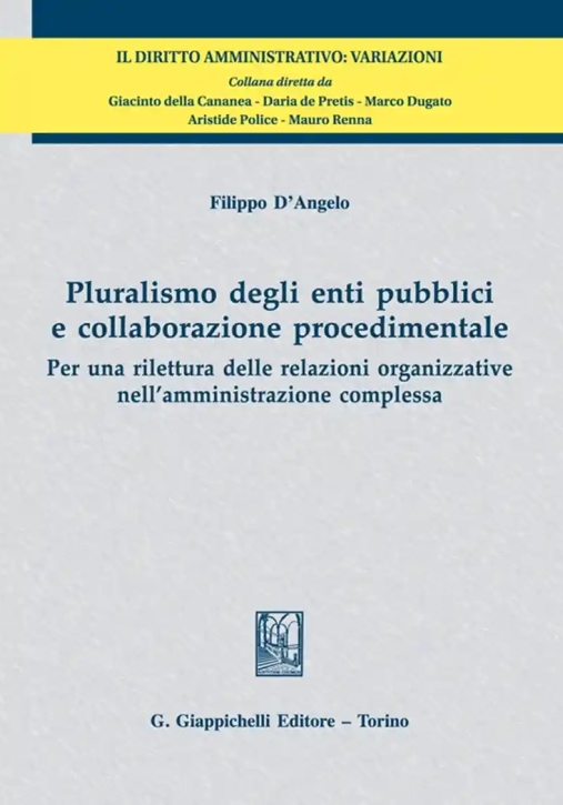 Immagine 0 di Pluralismo Enti Pubblici