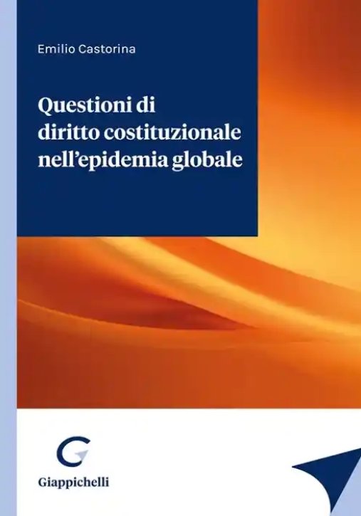 Immagine 0 di Questioni Di Diritto Costituzionale