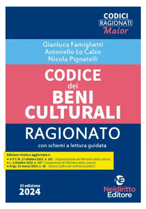 Immagine 0 di Codice Beni Culturali Ragionato 2024