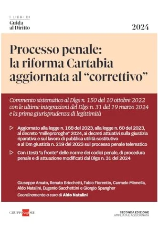 Immagine 0 di Processo Penale 2024 Riforma Cartabia