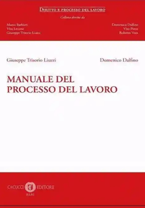 Immagine 0 di Manuale Del Processo Del Lavoro