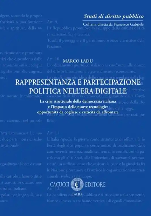 Immagine 0 di Rappresentanza E Partecipazione Politica