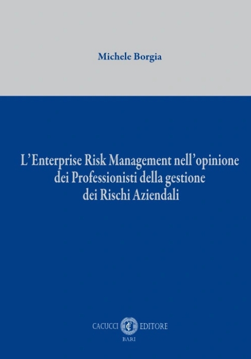 Immagine 0 di Enterprice Risk Managment