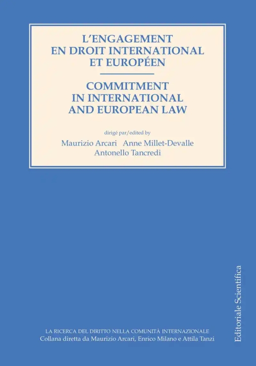 Immagine 0 di Engagement En Droit International