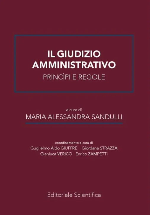 Immagine 0 di Giudizio Amministrativo