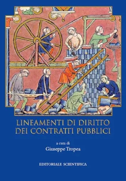 Immagine 0 di Lineamenti Diritto Contratti Pubblici