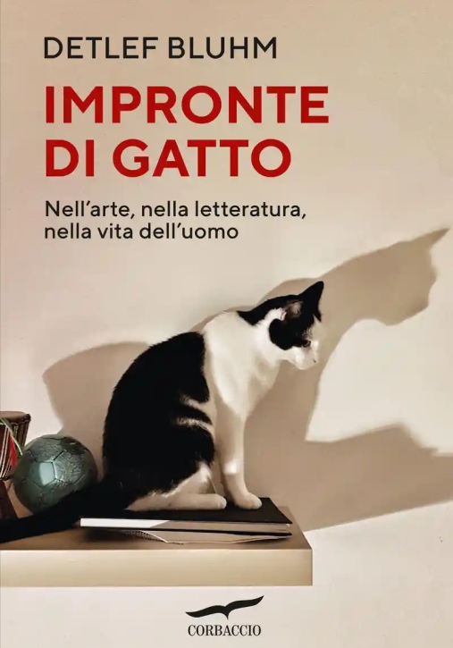 Immagine 0 di Impronte Di Gatto