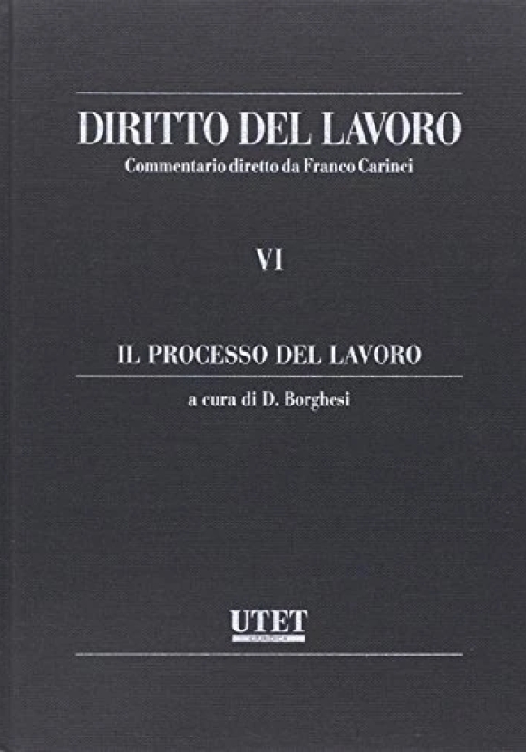 Diritto Del Lavoro Vi