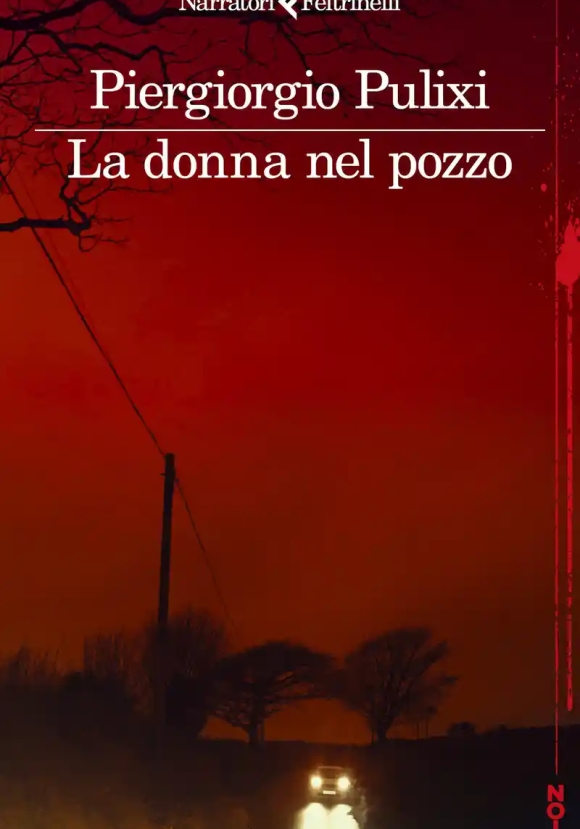 Donna Nel Pozzo