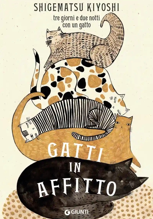 Gatti In Affitto