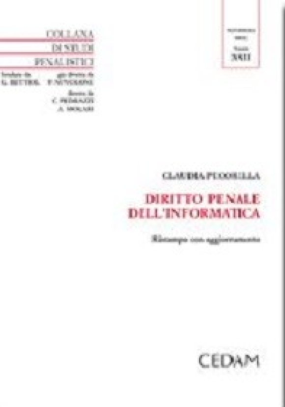 Diritto Penale Informatica