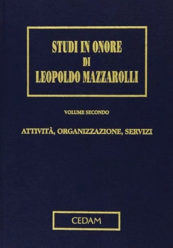 Studi Onore Mazzarolli Vol. Ii