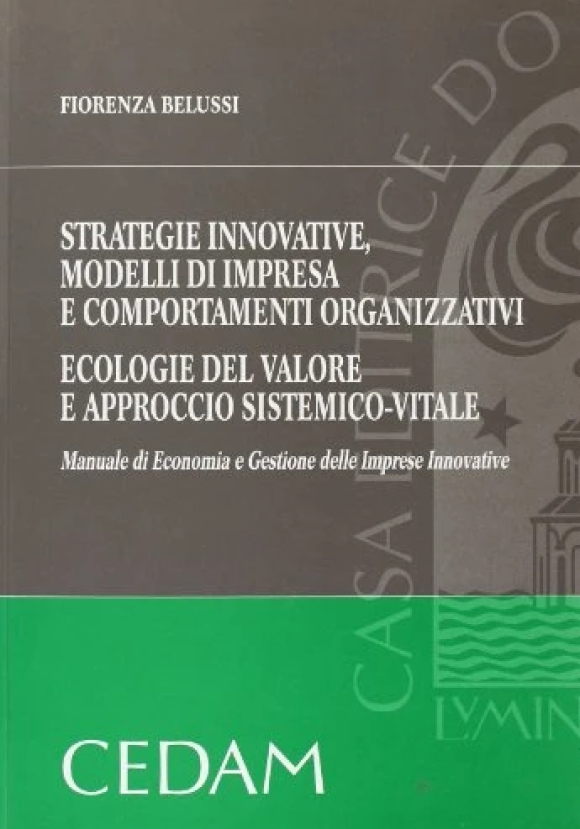 Strategie Innovative Belussi -