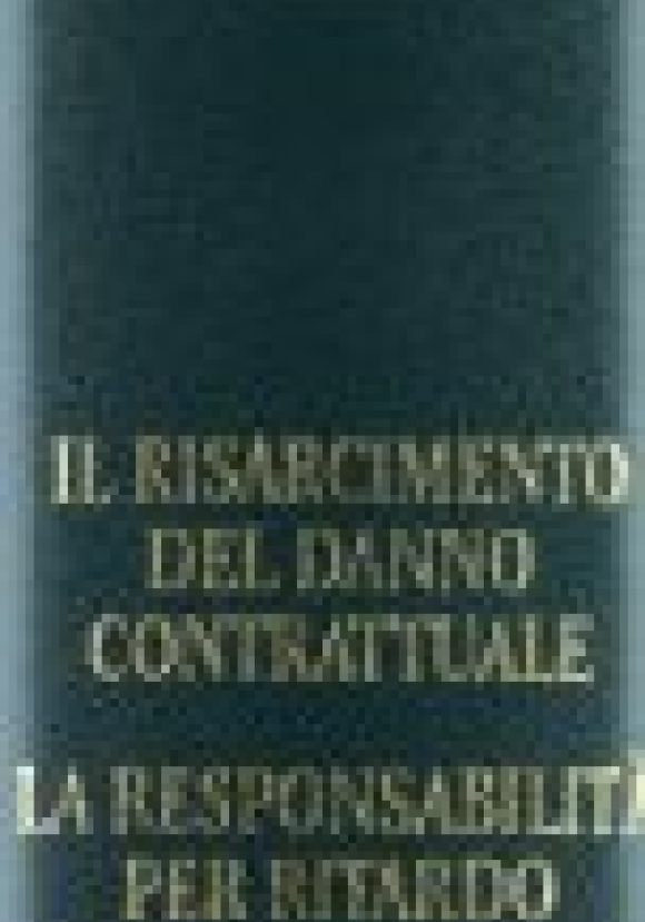 Risarcimento Del Danno