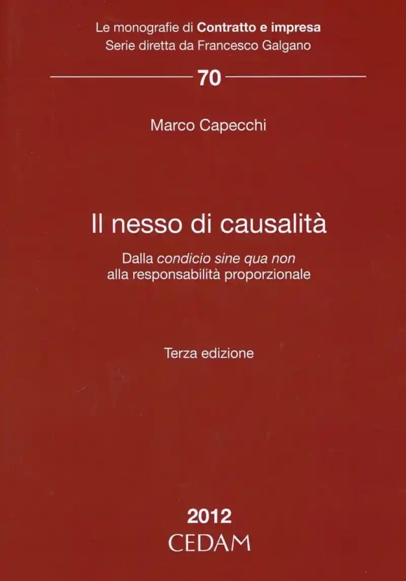 Nesso Di Causalita'