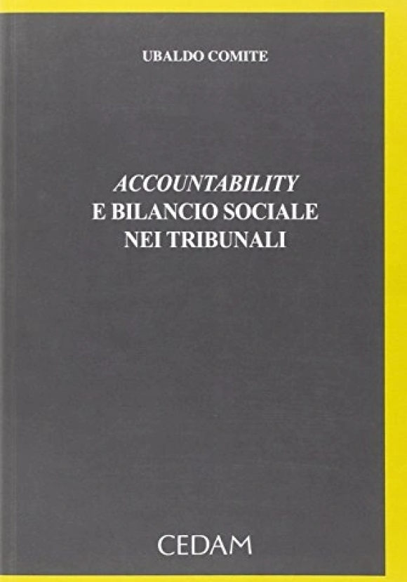 Accountability E Bilancio Soci