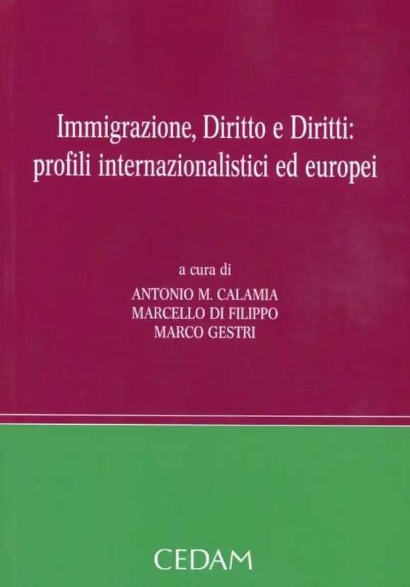 Immigrazione Diritto E Diritti