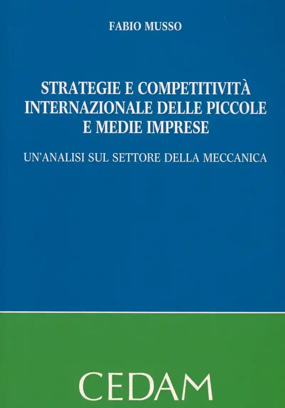 Strategie Competitivita' Int.le Picc.