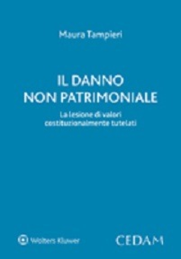 Danno Non Patrimoniale