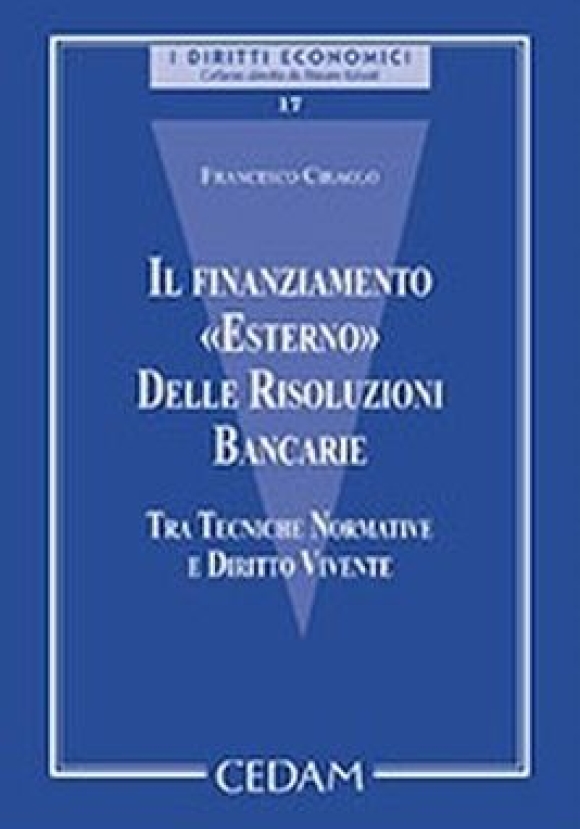 Finanziamento Esterno Delle Ri