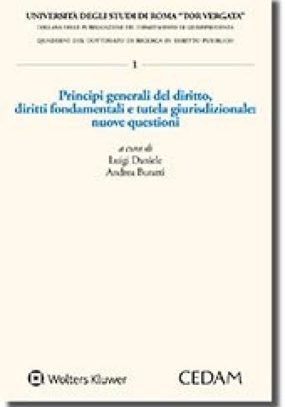 Principi Generali Del Diritto