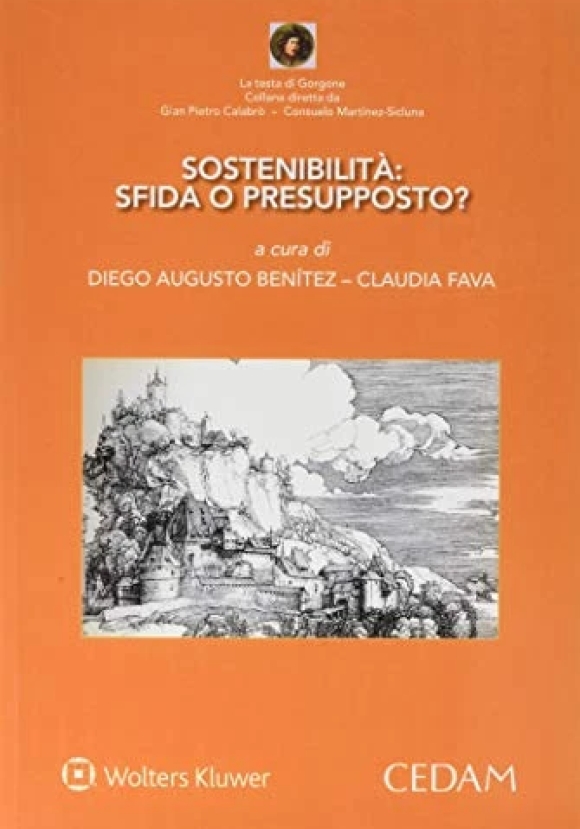 Sostenibilita': Sfida O Presup