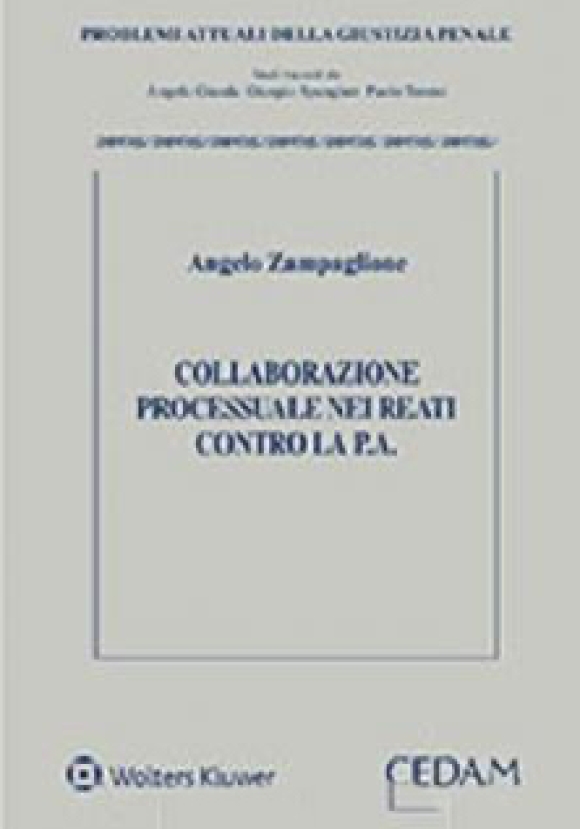 Collaborazione Processuale