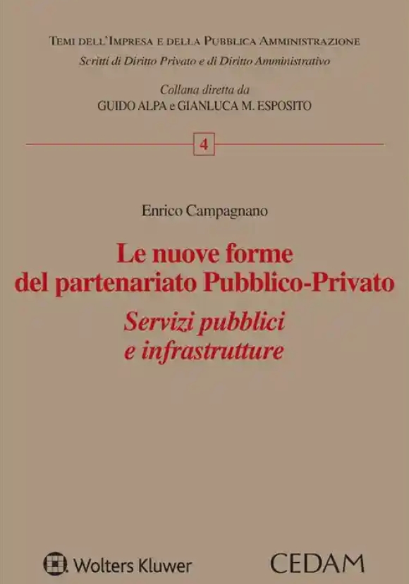 Nuove Forme Del Partenariato