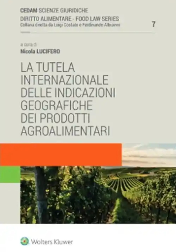 Tutela Internazionale Delle In