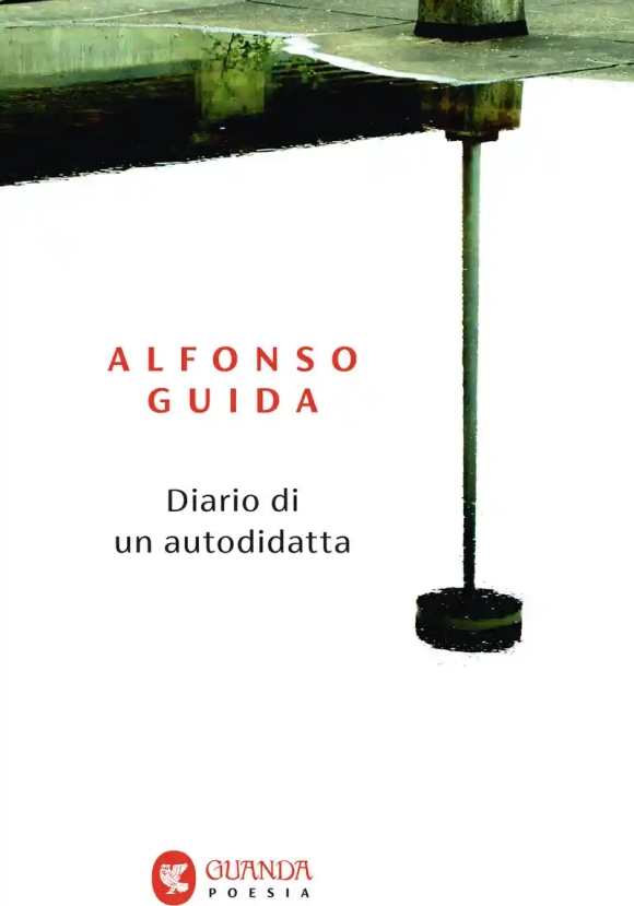 Diario Di Un Autodidatta