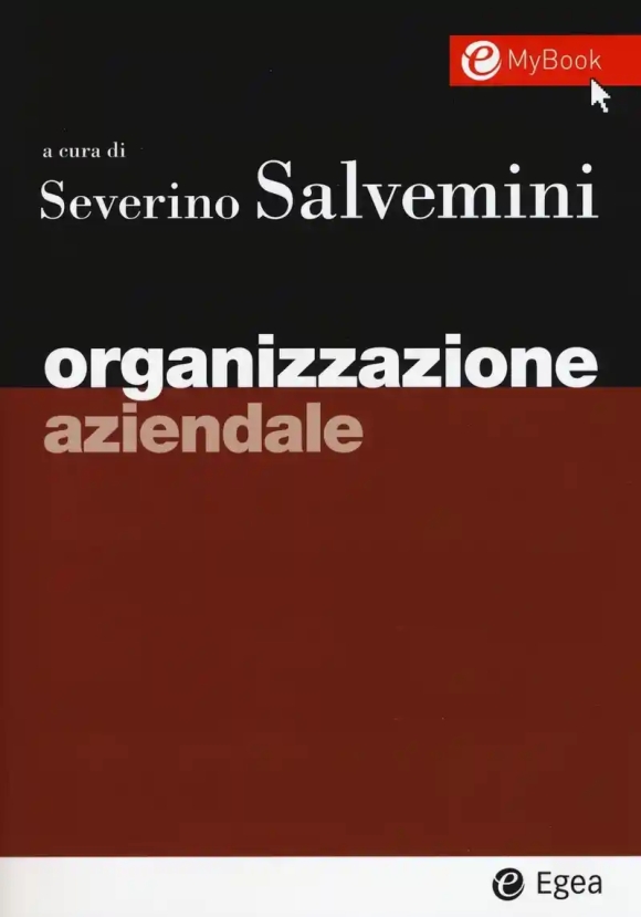 Organizzazione Aziendale